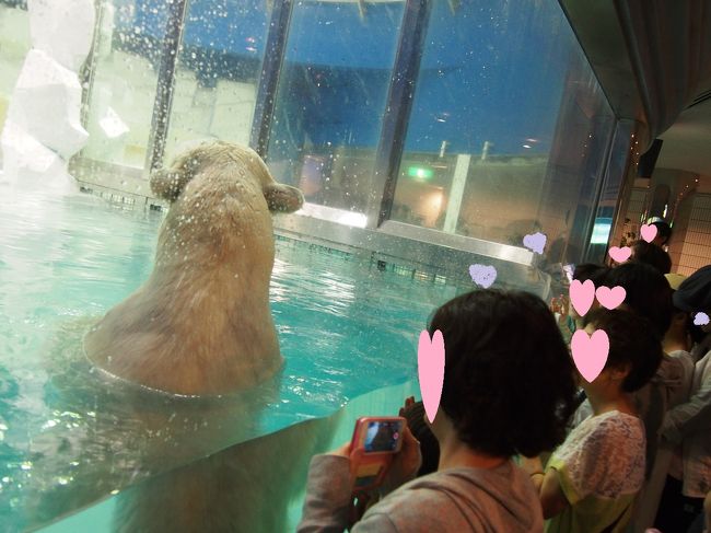 　白熊を見ている人を見るのも<br />結構面白い。白熊がアクリルの近くに来ると<br />手を出して、なでなでしたりするんだよね〜