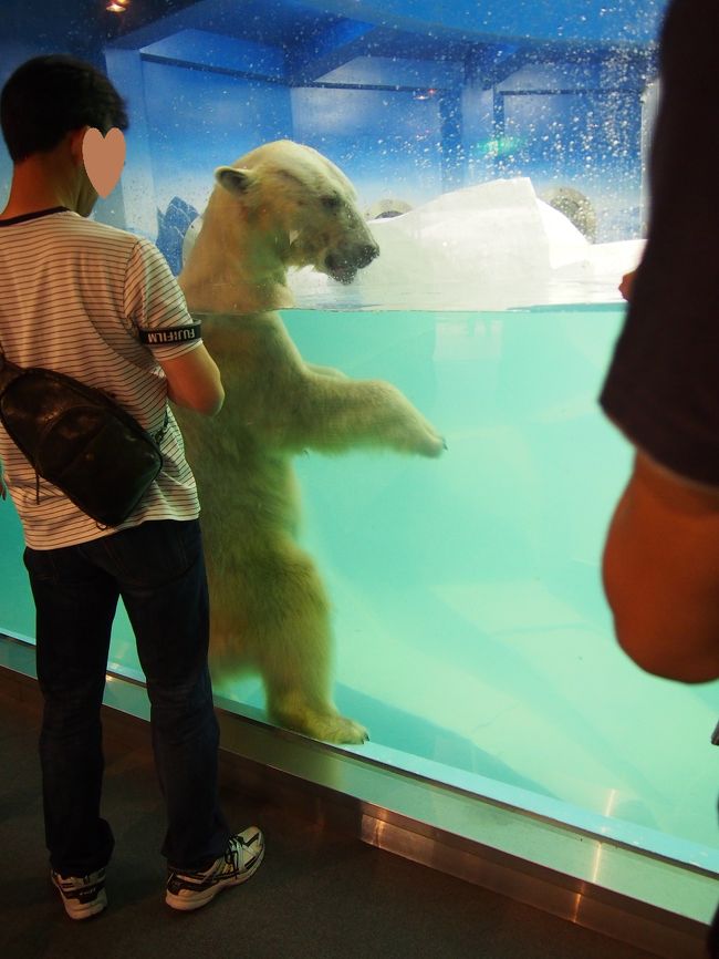 　後ろ髪をひかれながら<br />さよなら〜もう会えないね〜(T_T)<br />ありがとう〜楽しかったよ〜