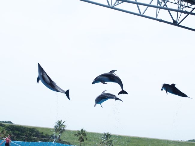 　10：45からのマリンライブです。<br />ビックオーシャン⑬です。