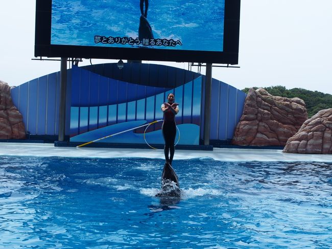 　しっとりとした音楽と緩やかに泳ぎ切る<br />お姉さんとクジラさん。<br />感動で、涙が出ちゃうの、だって女の子だもん♪<br /><br />7月31日からのナイトマリンライブだったらもっと<br />感動するんだろな〜恋人たちにピッタリですわ。