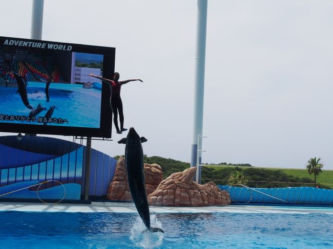 　お姉さんも、クジラも凄い。<br />写真なんて撮りたくないよ〜<br />もっと集中してみたいよ〜感動だよ〜