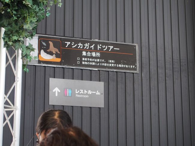 　あっという間にアシカガイドツアーの時間です。<br />アニマルランドの水槽前に集合です。
