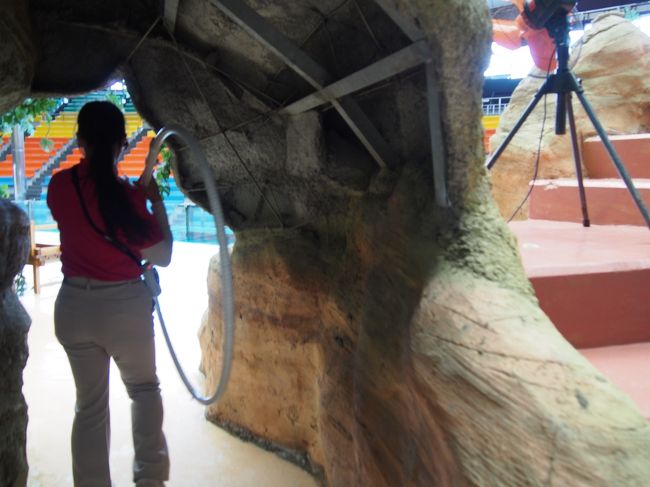 　では、バックヤードからショーの舞台にまいります。