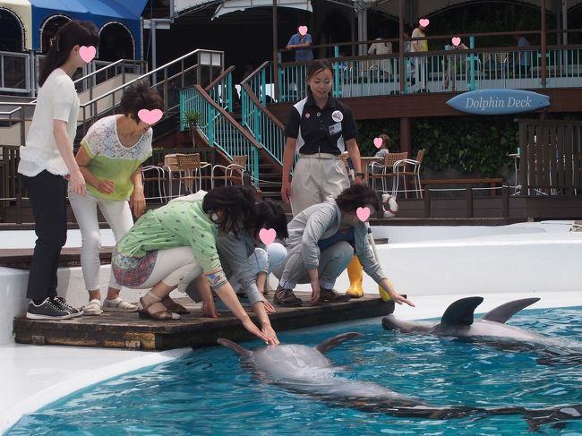 　走ってイルカふれあいプールまで<br />カメラを一台お兄さんに預けて写真を撮ってもらいます。<br />一組1台だけです。