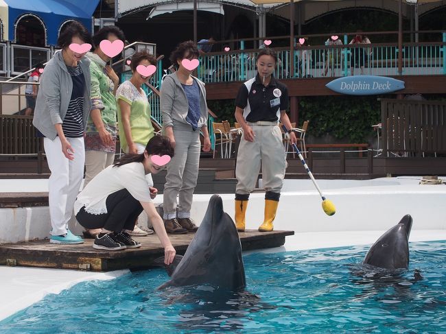 　握手できます。