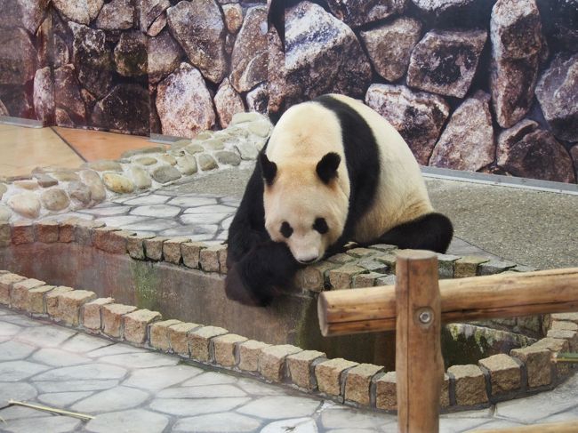 　永明パパです。まったりとしているかと思いきや