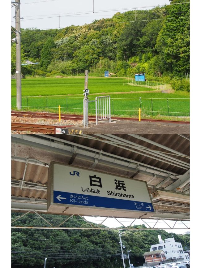 のどかな白浜駅<br />いっぱい遊んで疲れたか、おばさんたちは<br />駅名『きいとんだ』と『あっそ』で小ボケ合戦をはじめ<br />ホームで笑い転げるのでした。<br /><br />この旅も終わりです。<br />あ〜楽しかった。可愛かった。癒された〜(^O^)／<br />アドベンチャーワールドのスタッフのみなさんありがとう<br />動物の皆さんありがとう。感謝・感謝です。<br /><br />いい思い出ができました。あ〜楽しかった〜。
