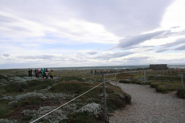 決められた遊歩道を歩きます。ペンギン優先、騒ぐの禁止。