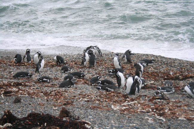 お〜、結構いる！！
