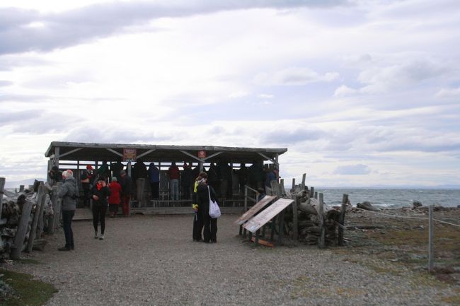 海岸沿いに集まっているペンギンたちを観察するのはこちらの小屋から。