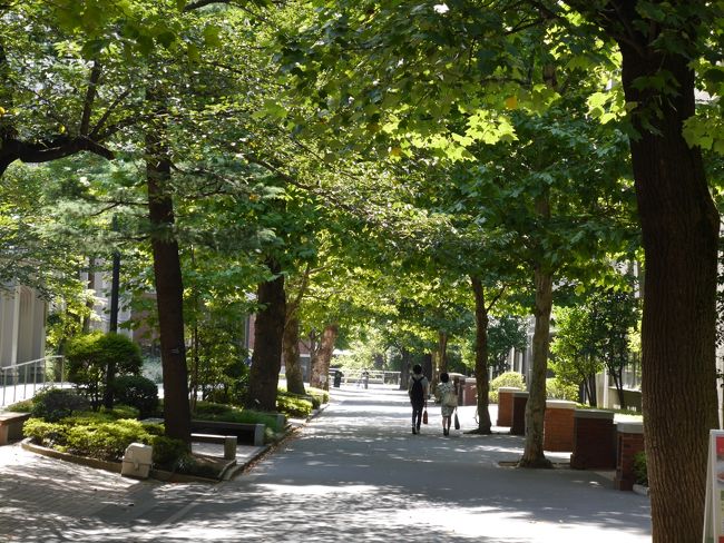 立教大学 自由学園明日館 東京フラフェスタin 池袋 そして池袋の老舗 池袋 東京 の旅行記 ブログ By Sakatomoさん フォートラベル 立教大学 自由学園明日館 東京フラフェスタin 池袋 そして池袋の老舗 池袋 東京 の旅行記 ブログ By Sakatomoさん フォートラベル