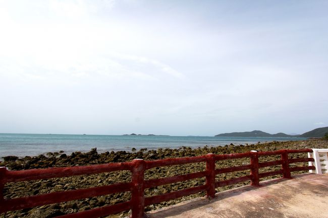 裏手の眺望<br />南方向き