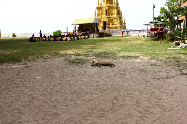 名残惜しくて撮る<br /><br />なんか落ちてる