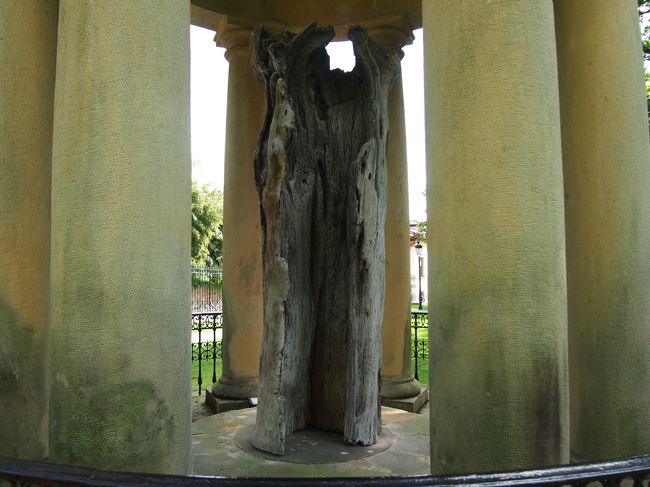 今は木と言ってもすでに朽ちていて保管してる状態