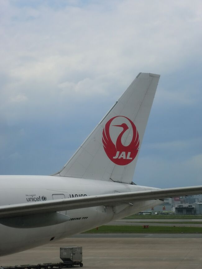 JAL B777-200 ファーストクラス(国内線)搭乗記・羽田-福岡 JAL B777-200 ファーストクラス(国内線)搭乗記・羽田-福岡