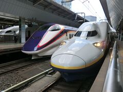 E3系(左)
平成9年(1997)3月、秋田新幹線の開業に向けて、新幹線と在来線を乗り換えなしで結ぶ新幹線車両として登場しました。
平成26年(2014)3月‥秋田新幹線こまち号の座をE6系に譲り、現在は山形新幹線つばさ号として活躍しています。

E4系(右)
平成11年(1999)にデビューしたオール２階建て新幹線車両‥MAXです。
かつては東北上越の両親幹線で運用されていましたが、平成24年(2012)9月のダイヤ改正で東北新幹線での運用を終了し、今は上越新幹線のみで運用されています。