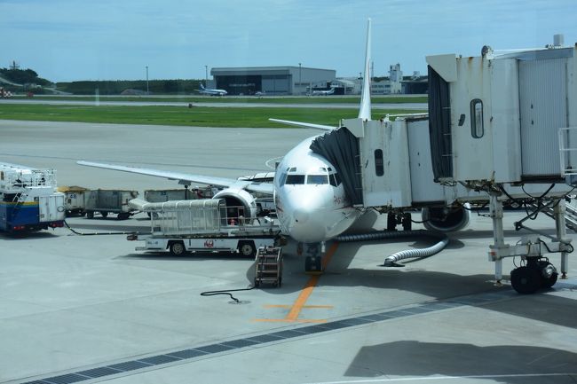 この飛行機に乗ります。