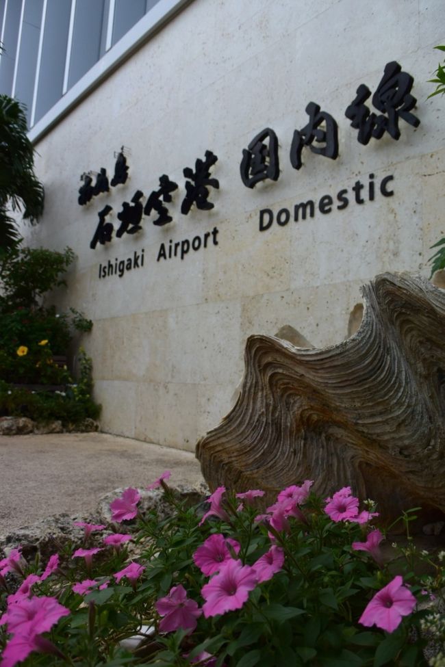 定番のコレ、どうしても撮っちゃいます(^^)