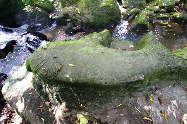 (゜))<<<br />ですね