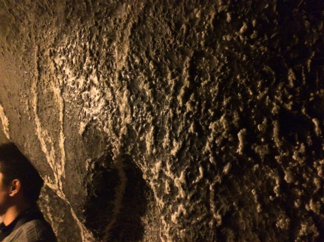 こんな感じで、岩から染みだしたように塩が結晶状に析出している部分もある。 <br />