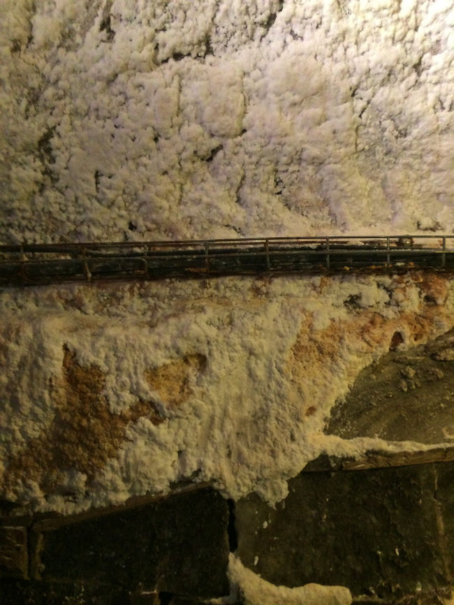 塩の染みだし方が激しい所はこんな感じで全面にびっしりと結晶になっていたりする。 <br />