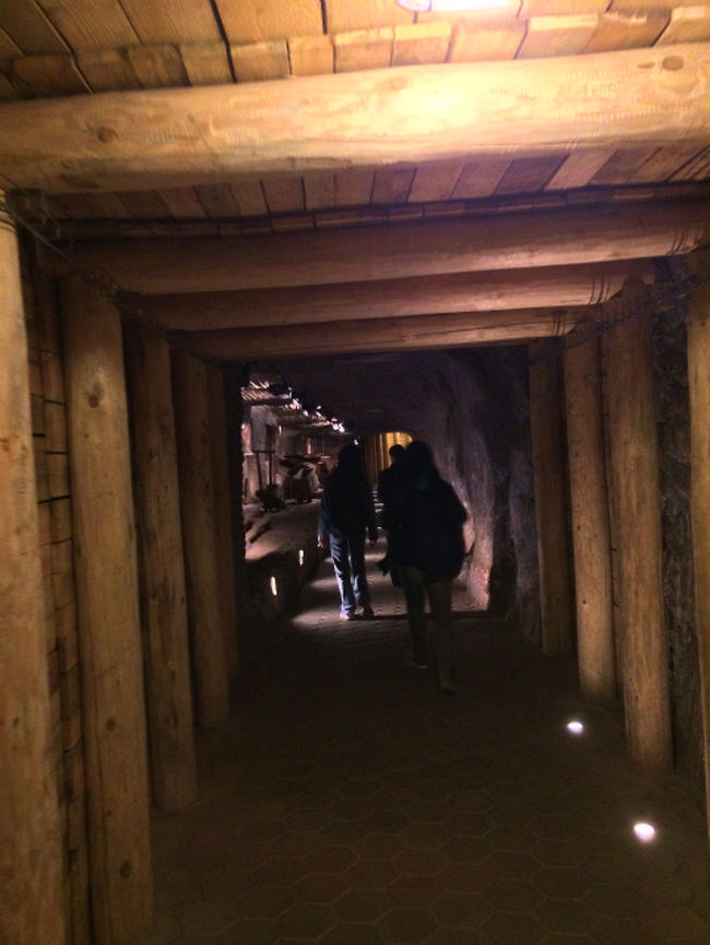 ネガティブなことをどんどん書いてしまうが、岩塩抗のほとんどはこんな感じで坑道が木材で補強された通路ばかり。なので、岩塩自体が見える所も少なめだ。ただただトンネルの中を歩いている感は否めない。 <br />