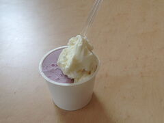 バスで石垣空港へ

ミルミルでアイス