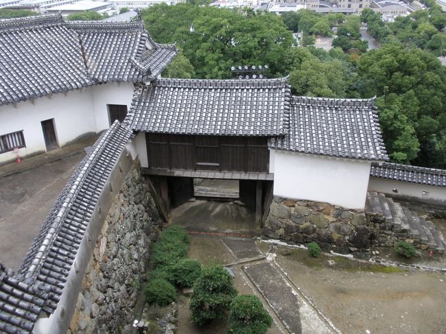 素晴らしい瓦を眺めながら、