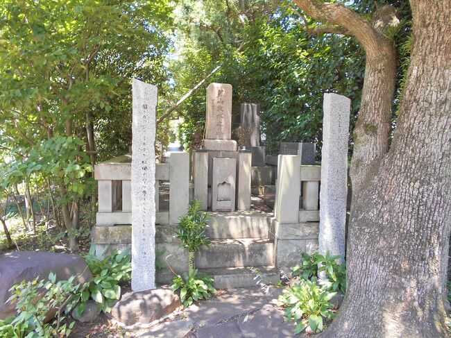 駿河沼津 地政的に徳川・小田原北条・武田が衝突する地域で戦国後期の三枚橋城主松平康親・江戸期中期の沼津城主水野忠友の菩提寺『乗運寺』散歩