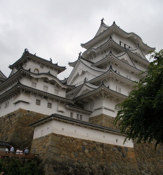 別の角度から。