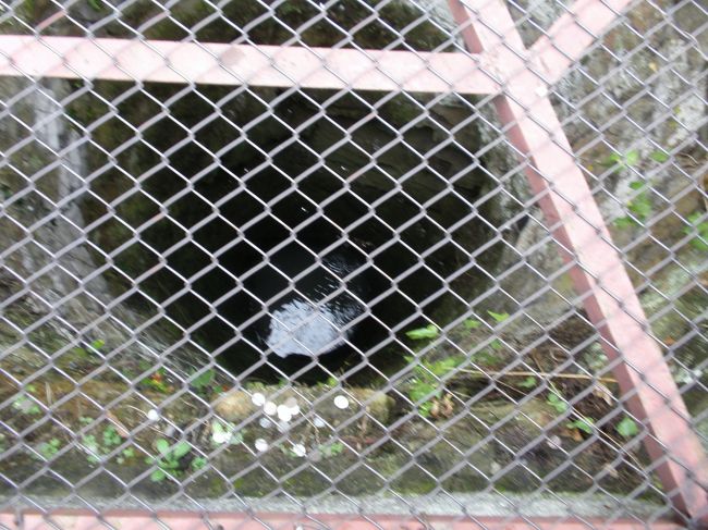 お菊井戸<br /><br />（播州皿屋敷のお菊が投げ込まれたと言われる井戸です。）