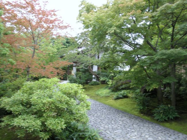 好古園<br /><br />（姫路城西御屋敷跡の遺構を生かした日本庭園で広さはおよそ１万坪です。）<br /><br />とても素晴らしく、見ごたえのある庭園でした。