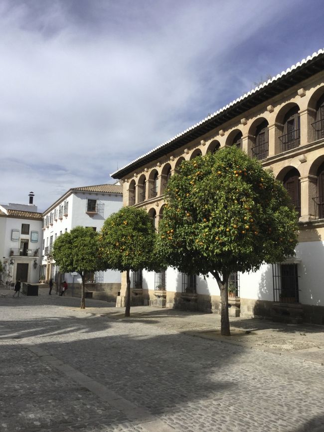 そのままでは食べられないオレンジ