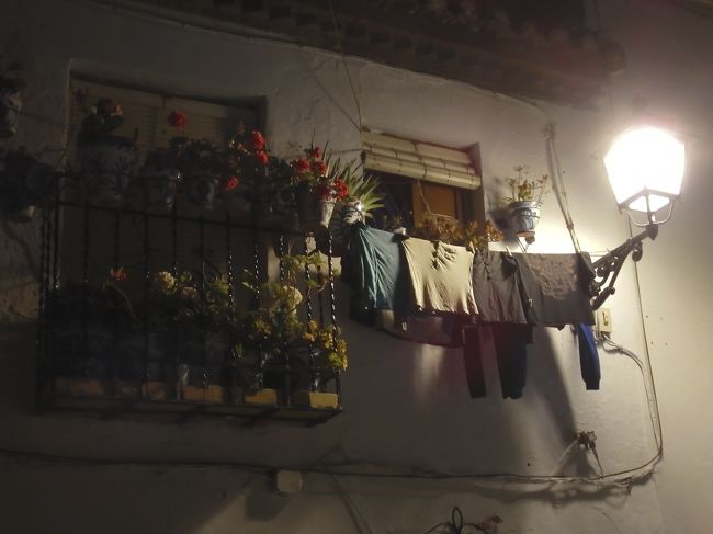 花と洗濯物<br />（アルハンブラ宮殿夜景見に行った場所近くで）