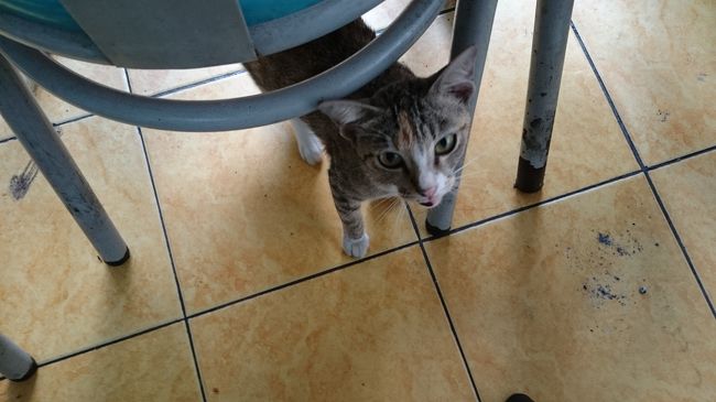 「なんか落としなさいよ」