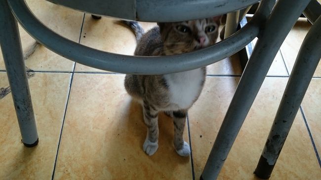 「待ってるんだから」