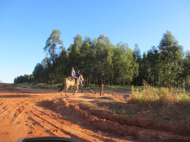 馬でデートする光景も