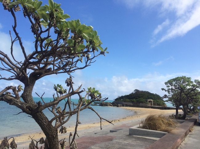 Lccバニラ航空で行く 3度目の沖縄 沖縄県の旅行記 ブログ By ちゃっかりさん フォートラベル