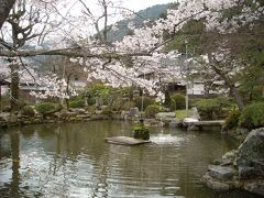 優美な池です。吉香神社。