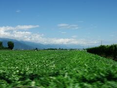 9：40、これ、ぜ〜んぶスイカ畑！



松本市内に戻って松本IC近くの逸品舎にて最後のお買い物、野沢菜漬けやみすず飴、お酒などを買って、浜松へ帰られるHさんご夫婦とお別れして高速に。