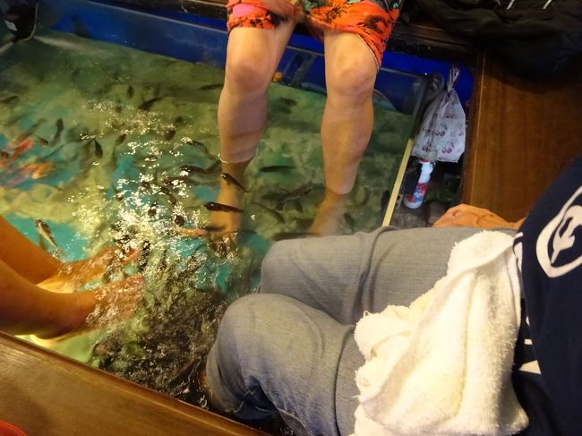 フィッシュマッサージも試しながら<br />（時間制限なしで一回２＄）<br />シェムリアップの最初の夜が更けて行きます<br /><br />