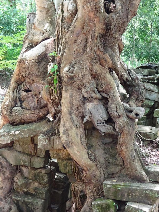 そして勝利の門を通ってタ・プロームへ
