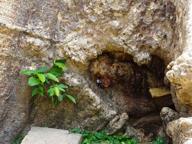 寺院内の有名な木の幹の隙間から顔を覗かせて<br />記念撮影しながら・・・