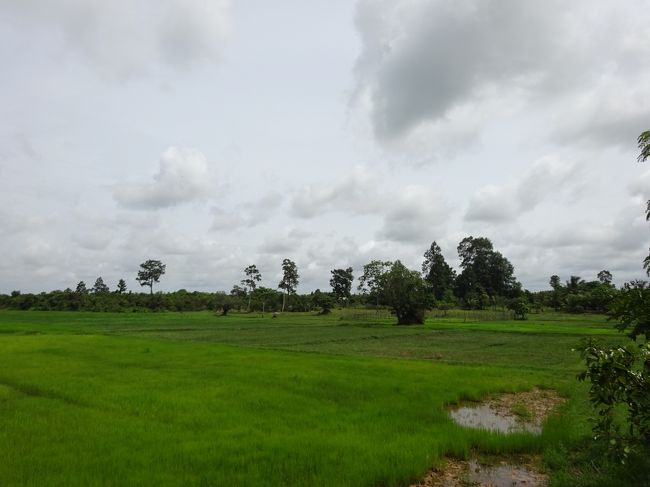 周囲には美しい緑の田園が広がり