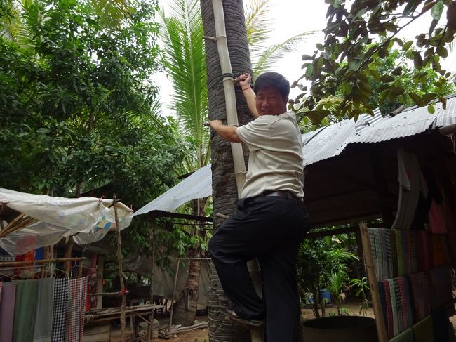 そしてヤシの木登り<br />ちゃんと足場が設置してありました<br /><br />キムタクが挑戦但し途中まで