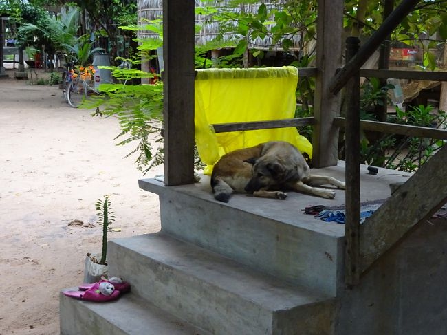 犬ちゃんにも挨拶