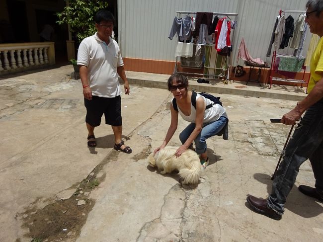 可愛いい白い番犬がいたりして