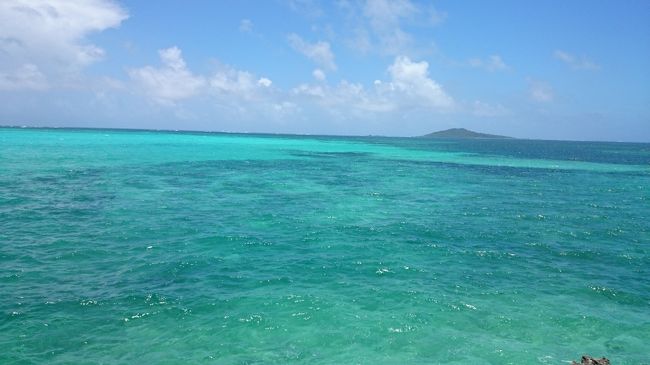 服のままだけど膝まで入って撮った海。泳いでる時間なんかないと思い、水着着てなかった事を大後悔…