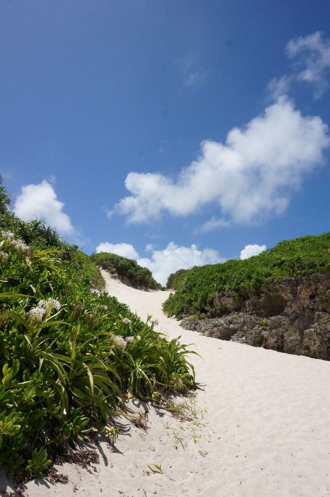名残惜しいけど「ジカンニカギリガゴザイマス」砂山登山は明らかに帰りの方がキツいです