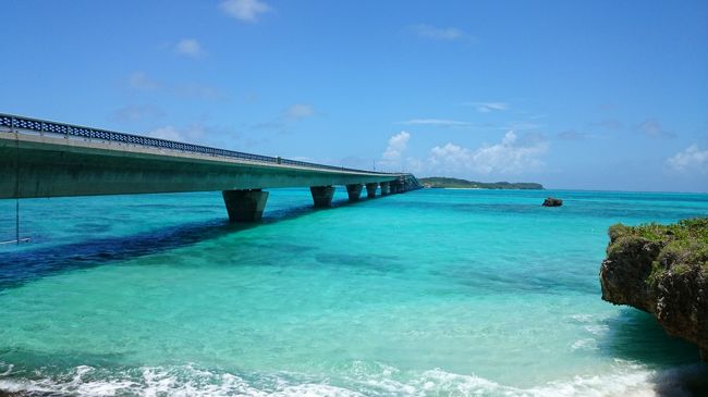 自然の色とは思えない…